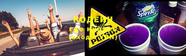 прущие грибы Арсеньев