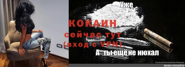 apvp Аркадак