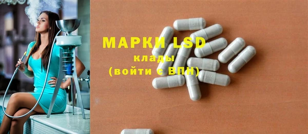 прущие грибы Арсеньев