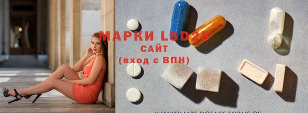 прущие грибы Арсеньев