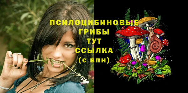 синтетический гашиш Армянск