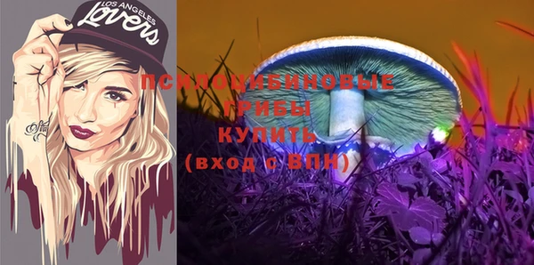 apvp Аркадак