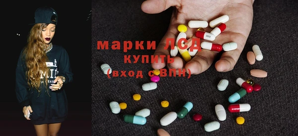 прущие грибы Арсеньев