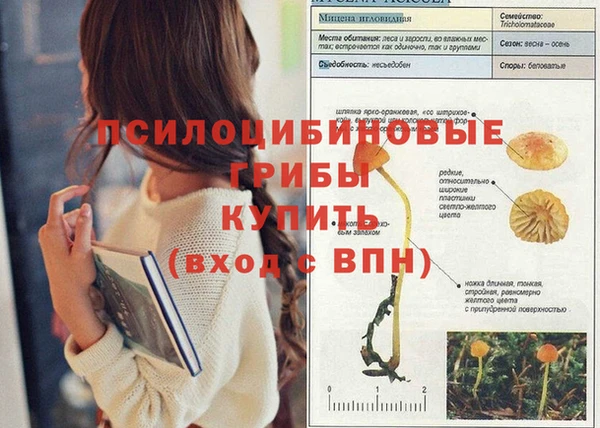 синтетический гашиш Армянск