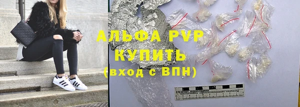 прущие грибы Арсеньев
