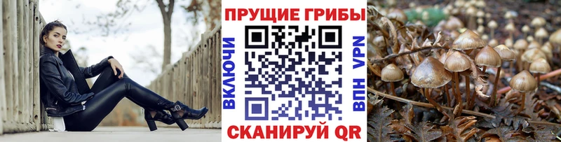 Галлюциногенные грибы MAGIC MUSHROOMS  МЕГА   Нея 
